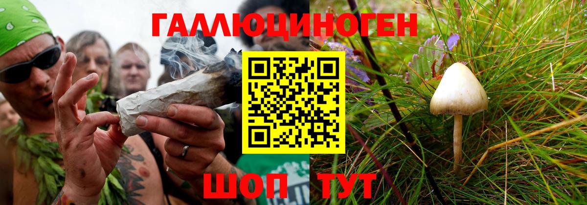 Электросталь  Псилоцибиновые грибы Psilocybine cubensis  Псилоцибиновые грибы мицелий  Вход с VPN 